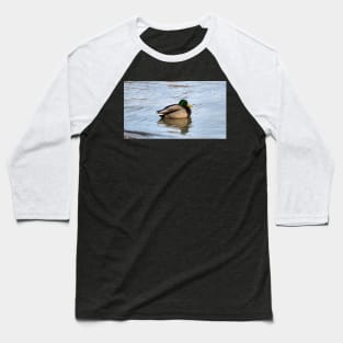 Male Mallard Duck Swimming Along a Beach Baseball T-Shirt